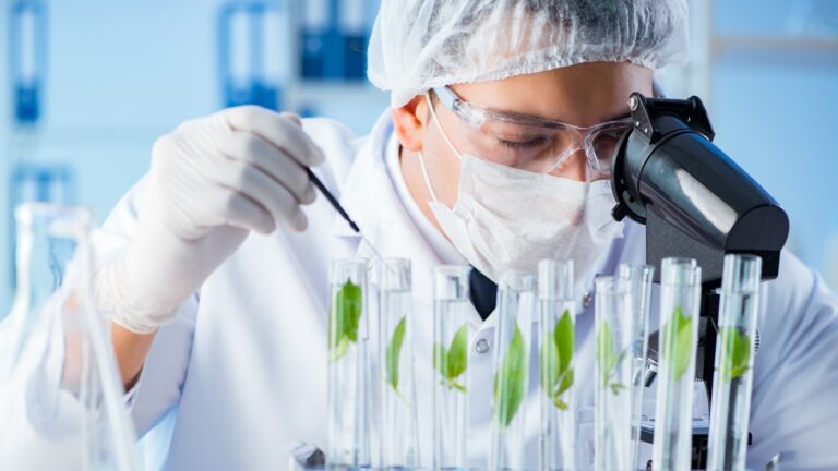 bioteknologi